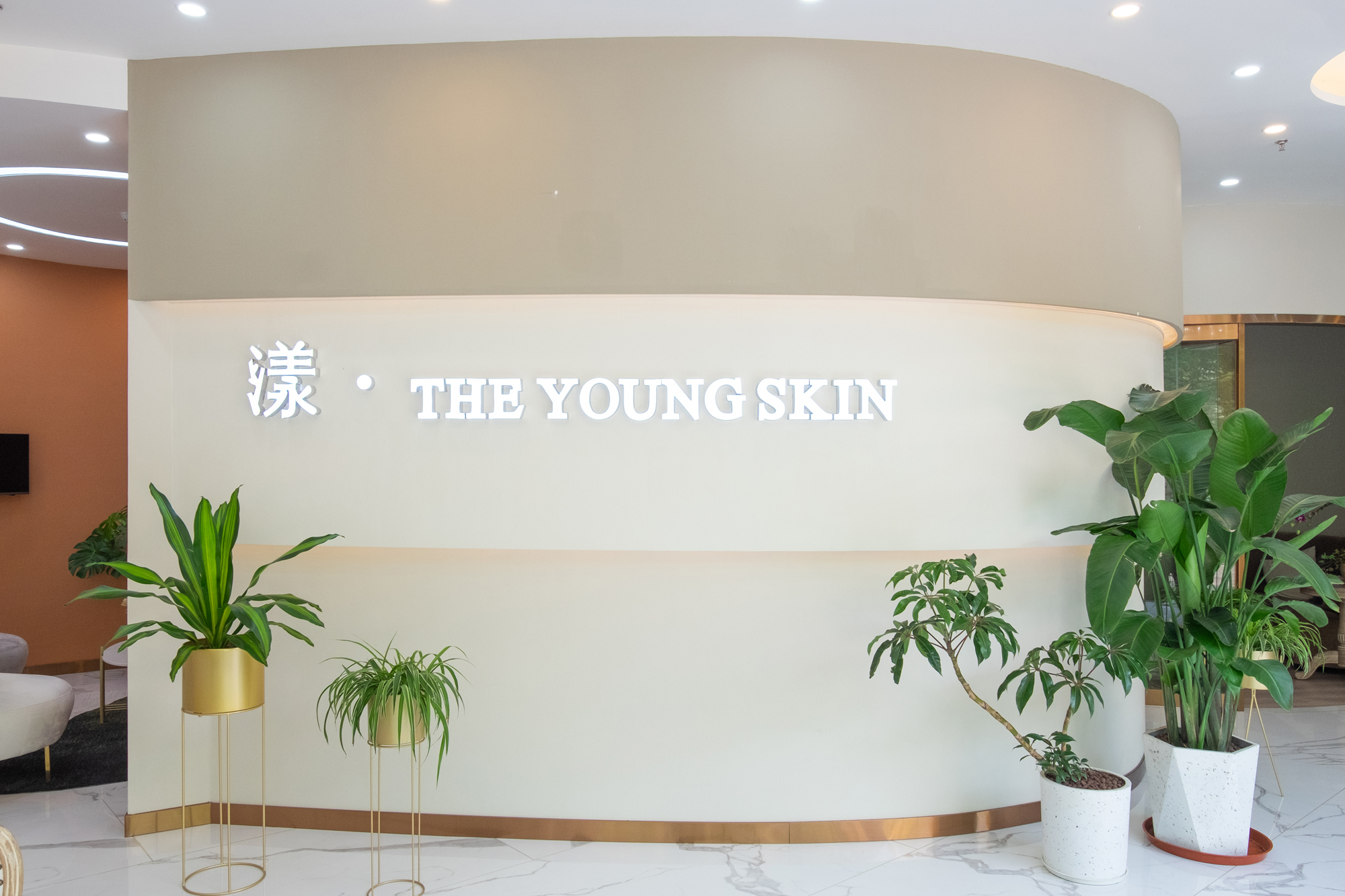 創意玩家
